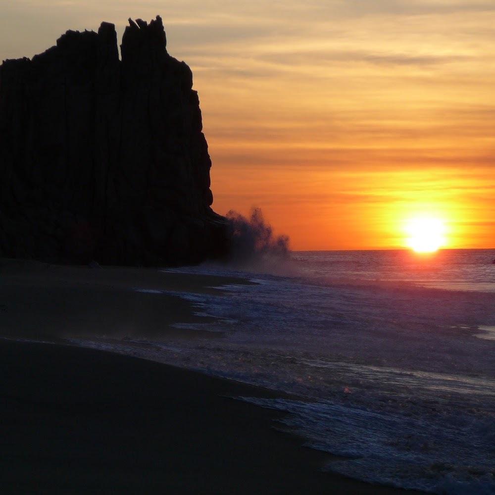 Meet your Posher, Jeanne